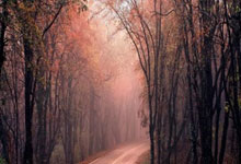 个人二手挖掘机,个人二手挖掘机买卖